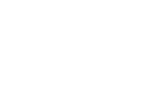 Mouse Motors